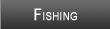 Mobile Bay Fishing